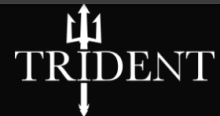 TRIDENT FITNESS (SW) LTD